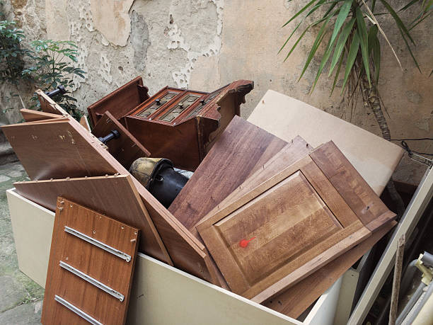 Yard Cleanup Services in Lamar, MO